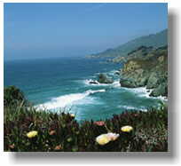 The movements of the sea could be a huge energy source