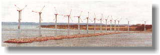 a coastal wind farm